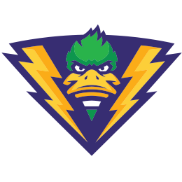 Dallas College - Richland crest